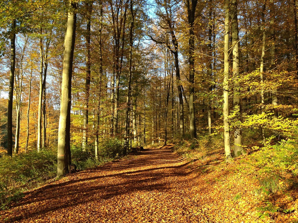 Städte im Westerwald