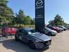 Mazda 3 suedergellersen