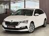 Skoda Scala walhausen
