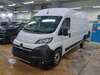 Opel Movano nieder-hilbersheim
