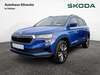Skoda Karoq quenstedt