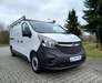 Opel Vivaro hornburg