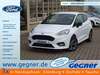 Ford Fiesta schoena-kolpien