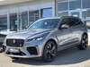 Jaguar F-Pace stockhausen-illfurth