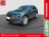 Skoda Karoq landshut
