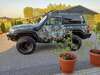 Nissan Patrol trechtingshausen
