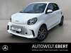 Smart forFour dorn-duerkheim