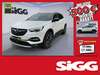 Opel Grandland X obergriesbach