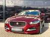 Jaguar XE irrhausen