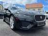 Jaguar XE irrhausen