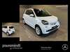 Smart forFour obergriesbach