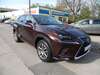 Lexus NX 300 dankmarshausen