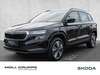 Skoda Karoq meinborn