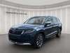 Skoda Kodiaq gusenburg