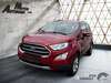 Ford EcoSport dankmarshausen
