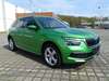 Skoda Kamiq bueddenstedt
