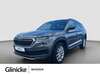 Skoda Kodiaq moenchenholzhausen