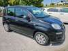 Fiat New Panda juetrichau