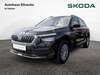 Skoda Kamiq bueddenstedt