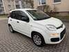 Fiat New Panda wiesbaden