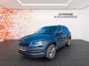 Skoda Karoq geisenfeld