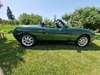 Fiat Barchetta walhausen