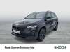 Skoda Karoq kreis|muehldorf-a.inn
