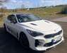 Kia Stinger niederhosenbach