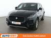 Jaguar E-Pace greussen