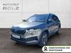 Skoda Karoq meinborn