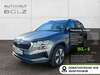 Skoda Karoq meinborn