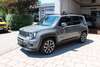 Jeep Renegade zscherndorf