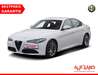 Alfa Romeo Giulia hottelstedt