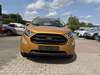 Ford EcoSport roedelhausen