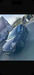 Fiat Punto bl|nordrhein-westfalen