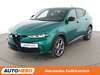 Alfa Romeo Tonale hornburg