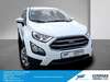 Ford EcoSport dankmarshausen