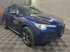 Alfa Romeo Stelvio enzkloesterle