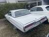 Ford Thunderbird grafenhausen