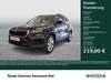 Skoda Karoq kreis|muehldorf-a.inn