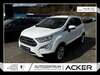 Ford EcoSport ober-hilbersheim