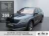 Skoda Kodiaq gusenburg
