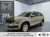 Skoda Kodiaq gusenburg