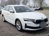 Skoda Octavia kreis|tuebingen