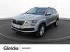 Skoda Karoq moenchenholzhausen