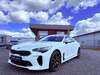 Kia Stinger dankmarshausen