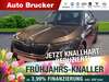 Skoda Kamiq dankmarshausen