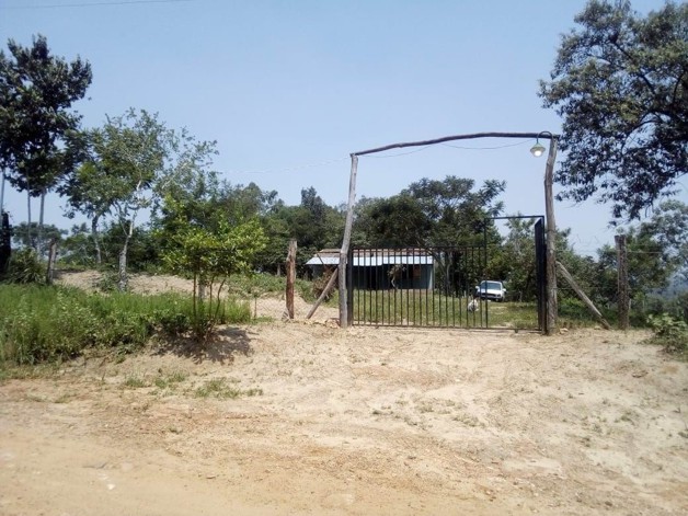 Foto