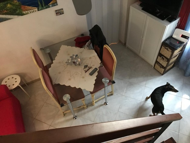 Foto