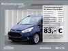 Ford B-Max Schöfweg
